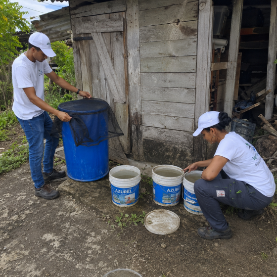 Entreprise de lutte anti-moustique en Guadeloupe