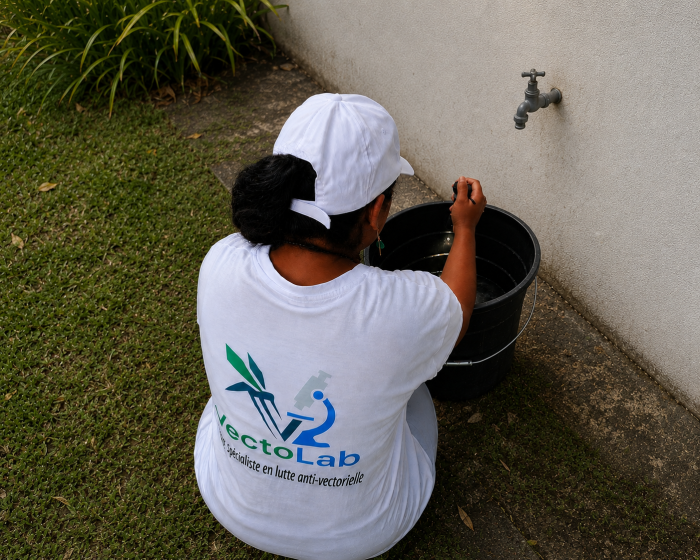 Solutions anti-moustique en Guadeloupe | VECTOLAB